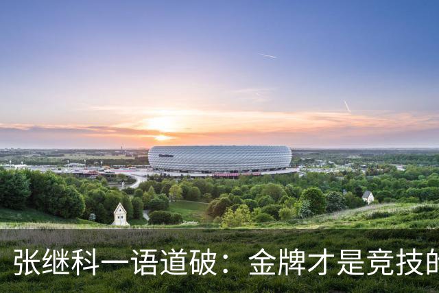 张继科一语道破：金牌才是竞技的真正王者！
