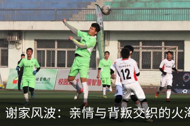 谢家风波：亲情与背叛交织的火海决战